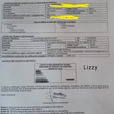 Lizzy 푸에르토 델 카르멘